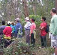 Boronia Tours - Redcliffe Tourism