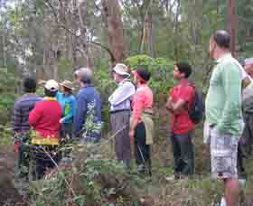 Boronia Tours - Redcliffe Tourism 0