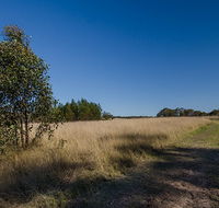 Scheyville horse riding trails - Redcliffe Tourism
