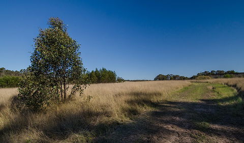 Scheyville Horse Riding Trails - Redcliffe Tourism 0
