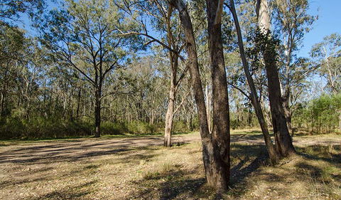 Scheyville Horse Riding Trails - Redcliffe Tourism 1