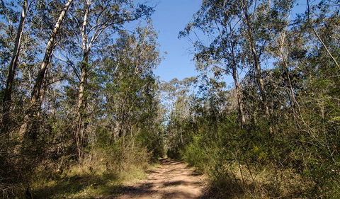 Scheyville Horse Riding Trails - Redcliffe Tourism 3