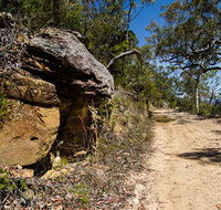 Canoelands Ridge walking track - Redcliffe Tourism