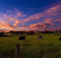 Made in Macarthur Food and Wine Tours - Redcliffe Tourism