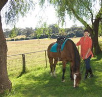 Sugarloaf Horse Centre - Redcliffe Tourism