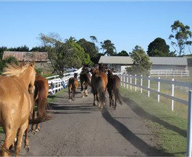 Darkes Forest Riding Ranch - Redcliffe Tourism 1