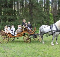 Classic Carriage Drives - Redcliffe Tourism