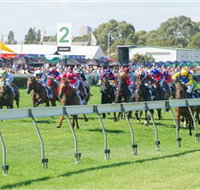 Morphettville Racecourse - Redcliffe Tourism