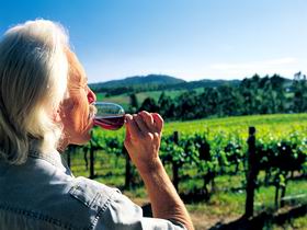 Ashton Hills Vineyard - Redcliffe Tourism 0