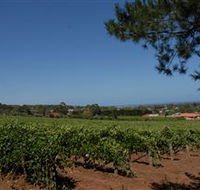 Grancari - Redcliffe Tourism