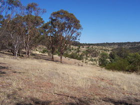 Onkaparinga River National Park - Redcliffe Tourism 0