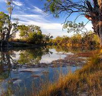 Murray River National Park - Redcliffe Tourism