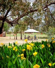 Charleville - Graham Andrews Parklands - Redcliffe Tourism 0
