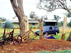 Charleville - Graham Andrews Parklands - Redcliffe Tourism 3