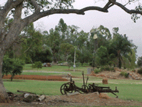 Charleville - Graham Andrews Parklands - Redcliffe Tourism 2