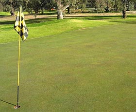 Wentworth Sporting Complex - Redcliffe Tourism 0