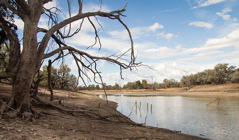 Toorale National Park - Redcliffe Tourism 0