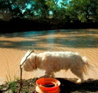 Charleville - 27 Mile Warrego River Fishing Spot - Redcliffe Tourism