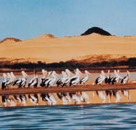 Coorong National Park - Redcliffe Tourism