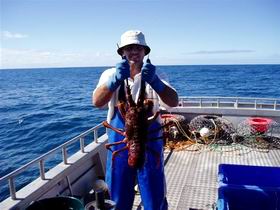 Lacepede Seafood - Redcliffe Tourism 2