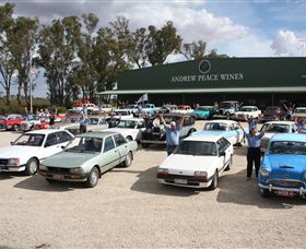 Andrew Peace Wines - Redcliffe Tourism 4