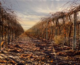Andrew Peace Wines - Redcliffe Tourism 2