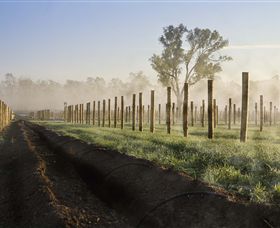 Andrew Peace Wines - Redcliffe Tourism 5