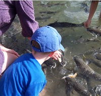 Aquascene - Redcliffe Tourism