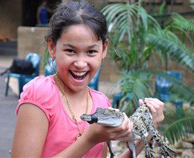 Crocodylus Park - Redcliffe Tourism 1