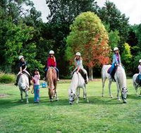 Limestone Coast Horseriding - Redcliffe Tourism