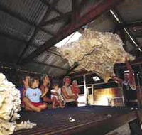 Shear Outback the Australian Shearers Hall of Fame - Redcliffe Tourism
