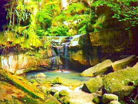 Carnarvon Gorge, Carnarvon National Park - Redcliffe Tourism 0