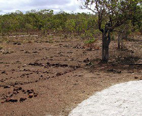 Wurrwurrwuy (Garanhan) Macassan Beach Interpretive Walk - Redcliffe Tourism 0
