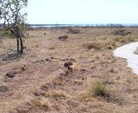 Wurrwurrwuy (Garanhan) Macassan Beach Interpretive Walk - Redcliffe Tourism 5