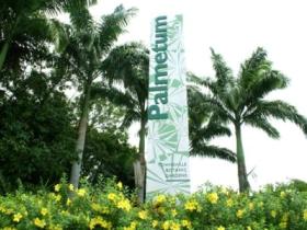 Townsville Palmetum - Redcliffe Tourism 0