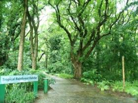 Townsville Palmetum - Redcliffe Tourism 1