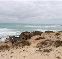 The Seaview Walking Trail - Redcliffe Tourism