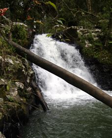 Souita Falls - Redcliffe Tourism 0