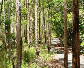Hallorans Hill Conservation Park - Redcliffe Tourism 0