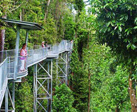 Mamu Tropical Skywalk - Redcliffe Tourism 0