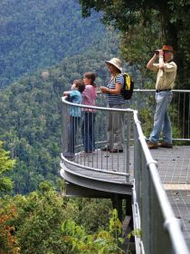 Mamu Tropical Skywalk - Redcliffe Tourism 2
