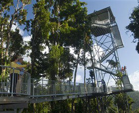 Mamu Tropical Skywalk - Redcliffe Tourism 1