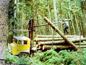 Nangwarry Forestry And Logging Museum - Redcliffe Tourism 3