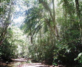 Julatten QLD Redcliffe Tourism