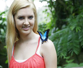 Australian Butterfly Sanctuary - Redcliffe Tourism 0