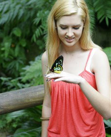 Australian Butterfly Sanctuary - Redcliffe Tourism 1