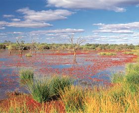 Adventure Way - Redcliffe Tourism 3