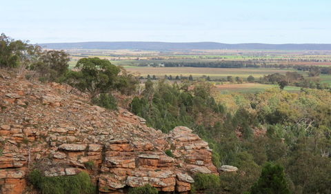 Jacks Creek Walking Track - Redcliffe Tourism 0