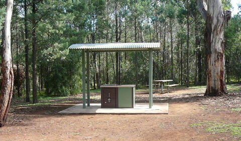 Jacks Creek Walking Track - Redcliffe Tourism 1