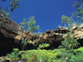 Blackdown Tableland National Park - Redcliffe Tourism 1